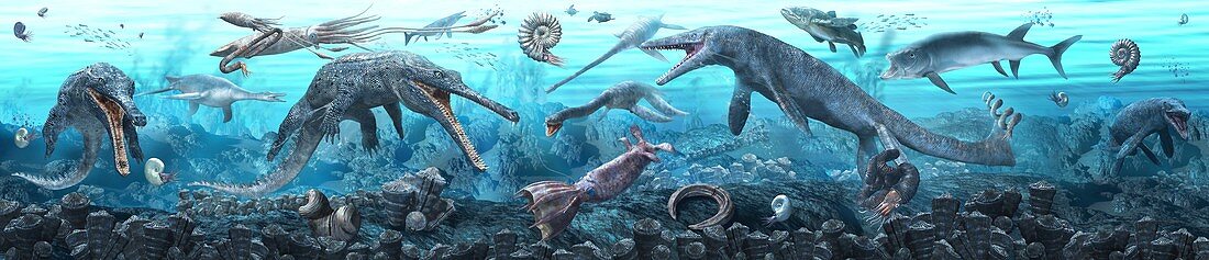 Cretaceous sea, illustration