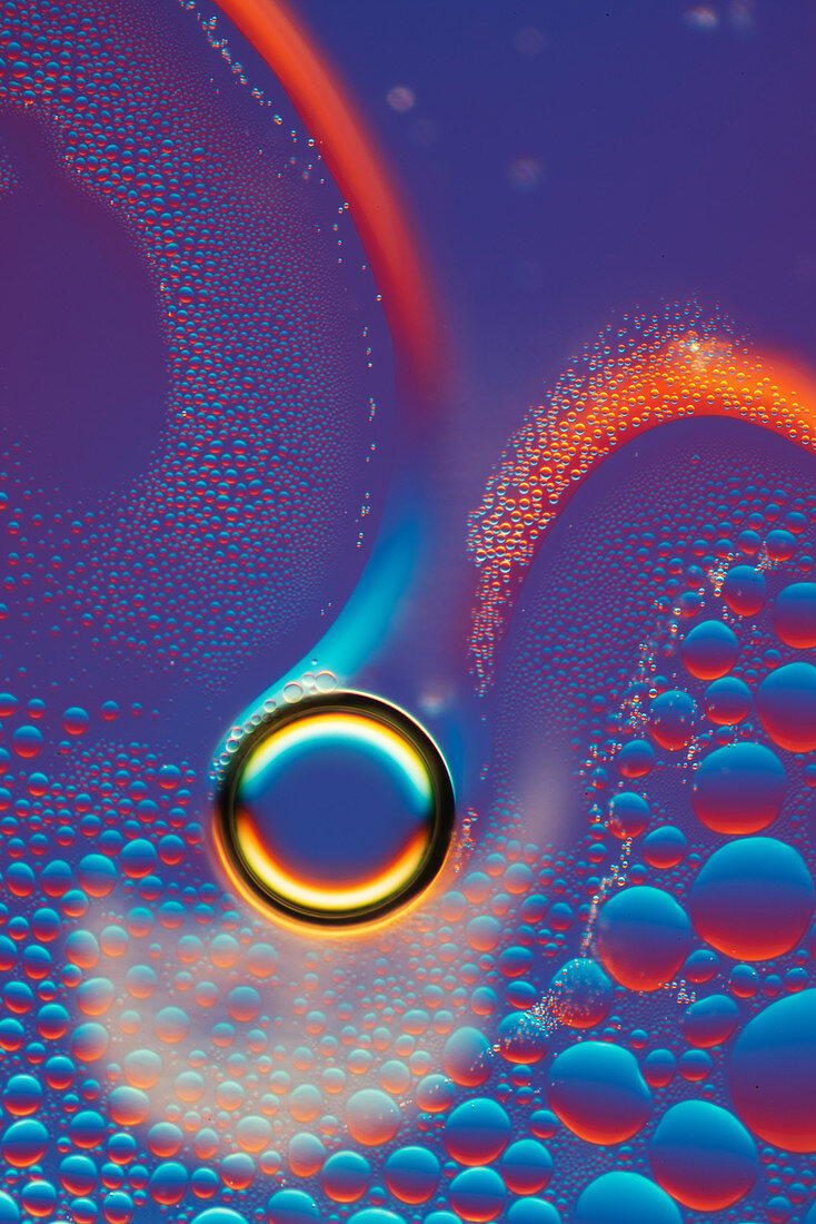 Bubbles, light micrograph