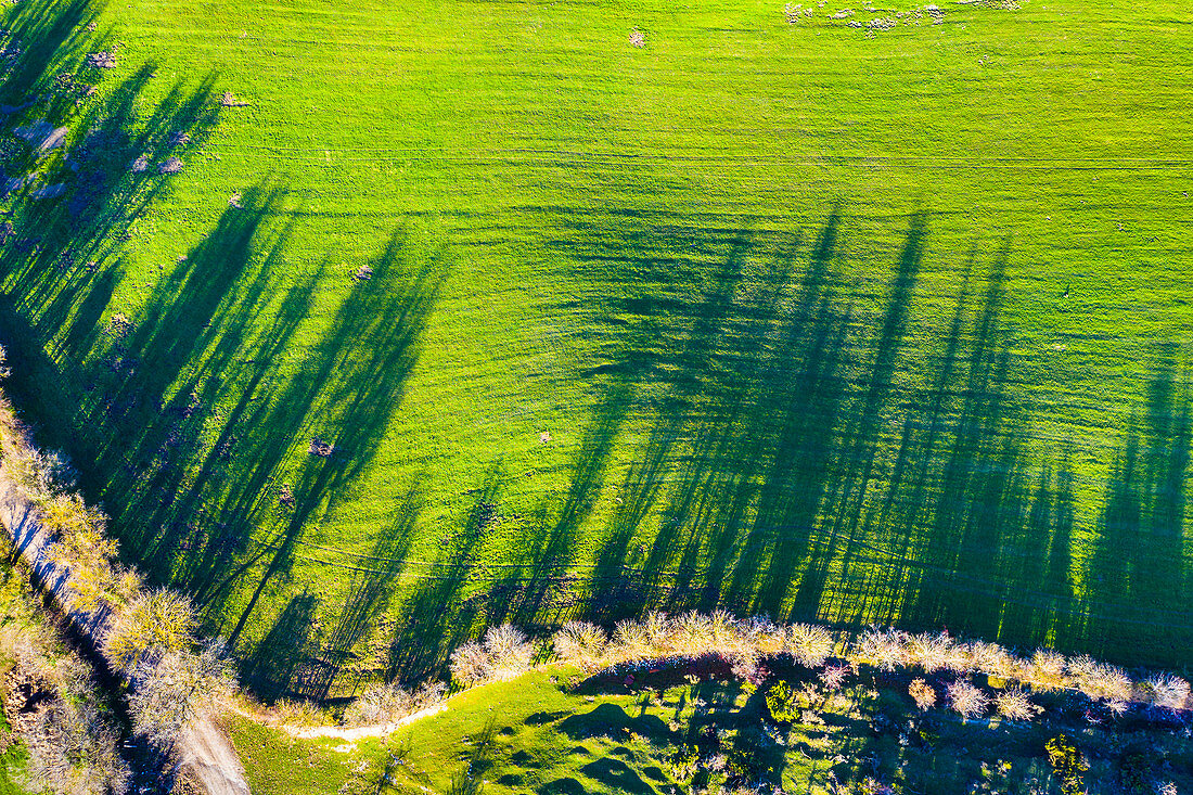 Farmland, aerial view