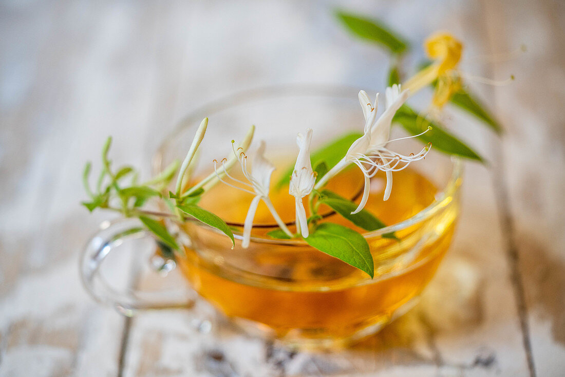 Honeysuckle tea