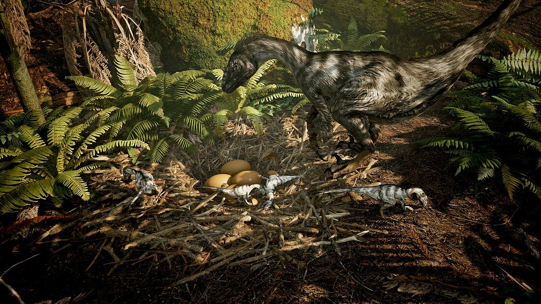 Dromaeosaurus nest with hatchlings, illustration