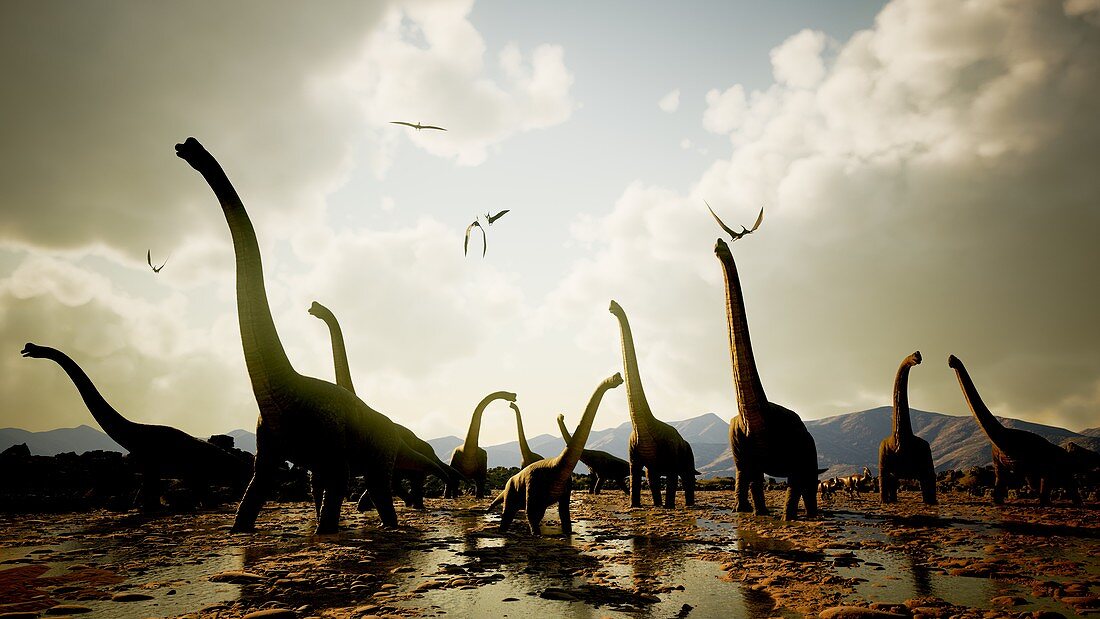 Brachiosaurus dinosaur herd, illustration