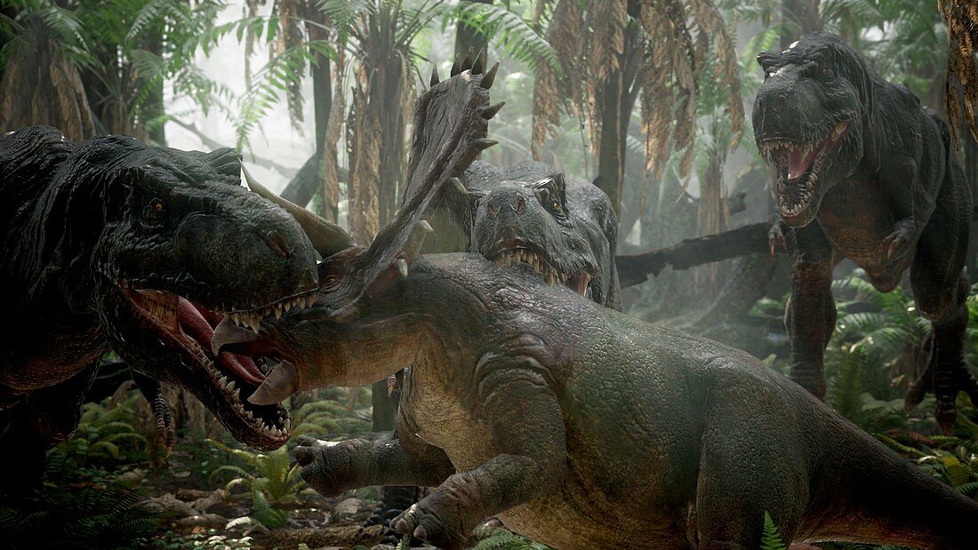 T-rex fighting triceratops, illustration