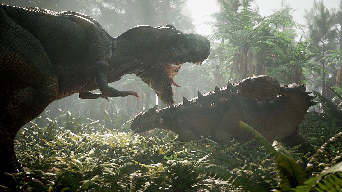 T-rex fighting ankylosaur, illustration