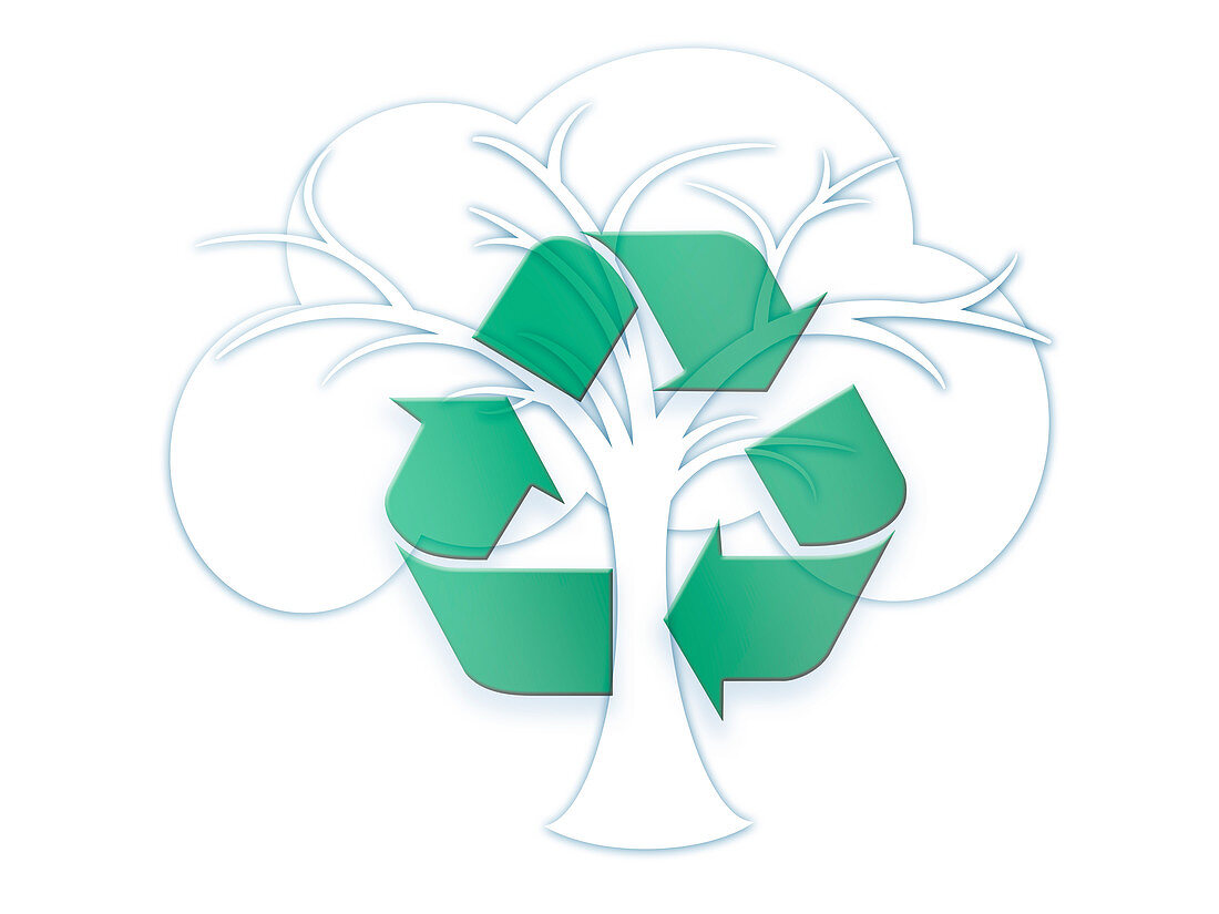 Tree with recycling symbol, illustration