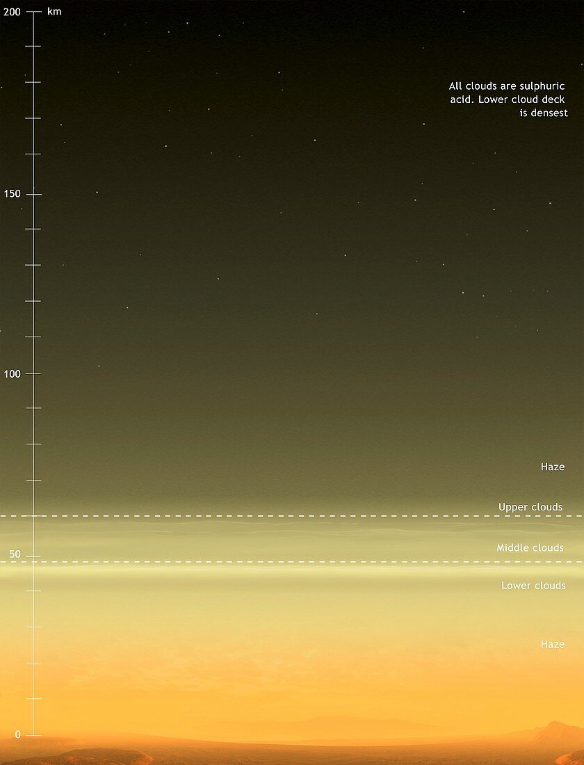 The structure of Venus' atmosphere