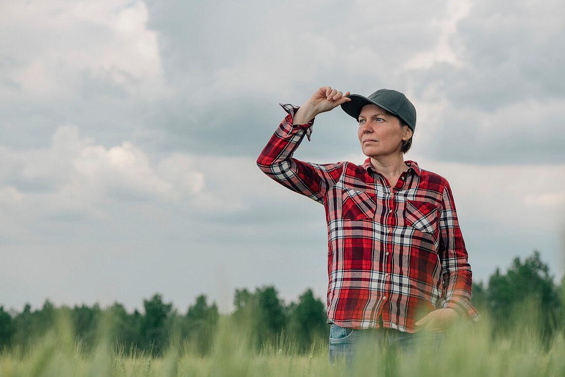 Wheat farmer looking at his field