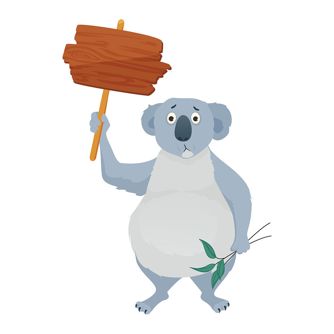 Koala with placard, illustration