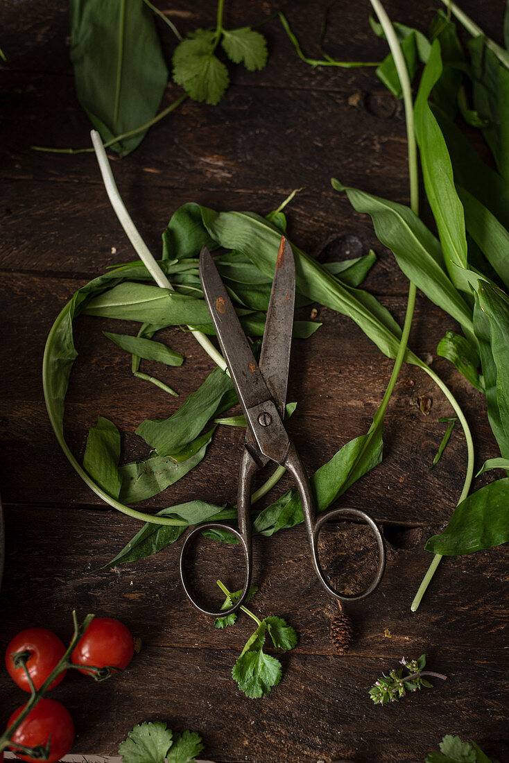 Green salad leaves placed with radish and tomatoes with scissors