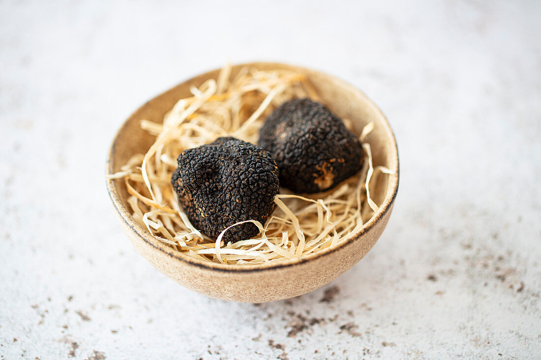 Two black winter truffles from Tuscany (Italy)