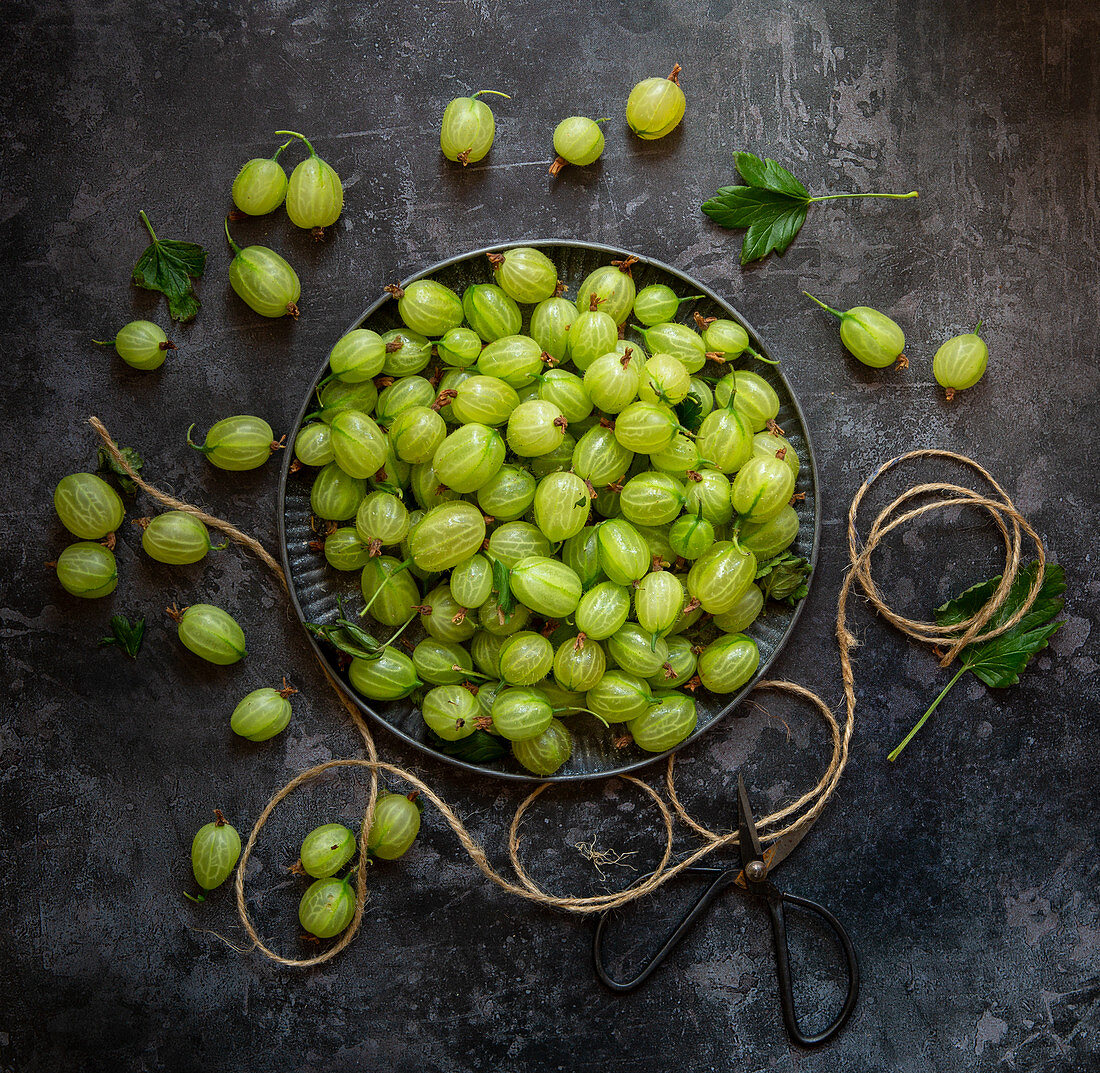 Frische grüne Stachelbeeren