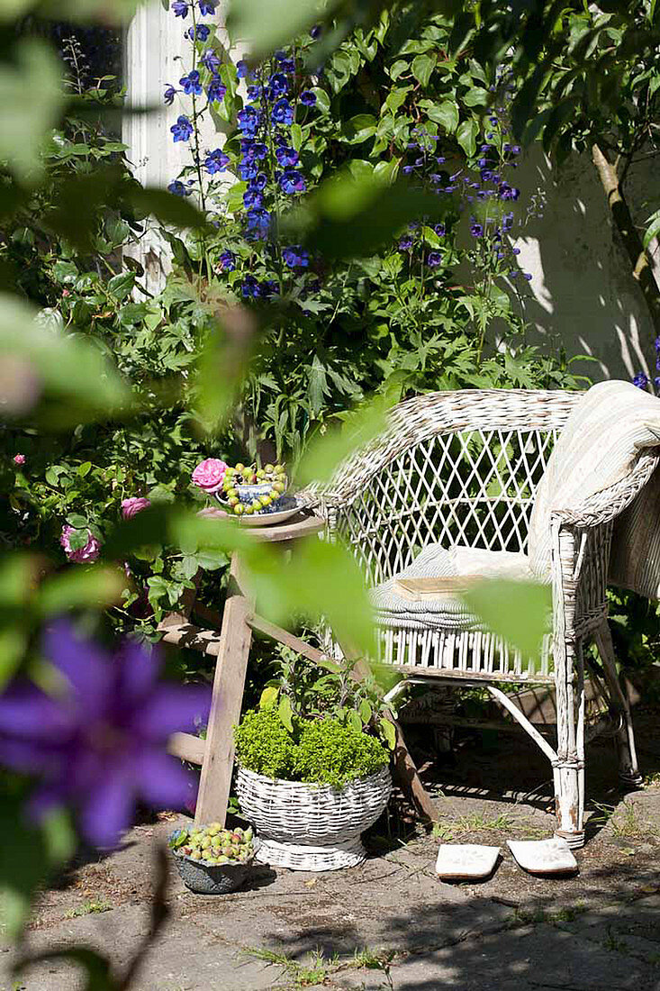 Wicker armchair next to roses and delphiniums