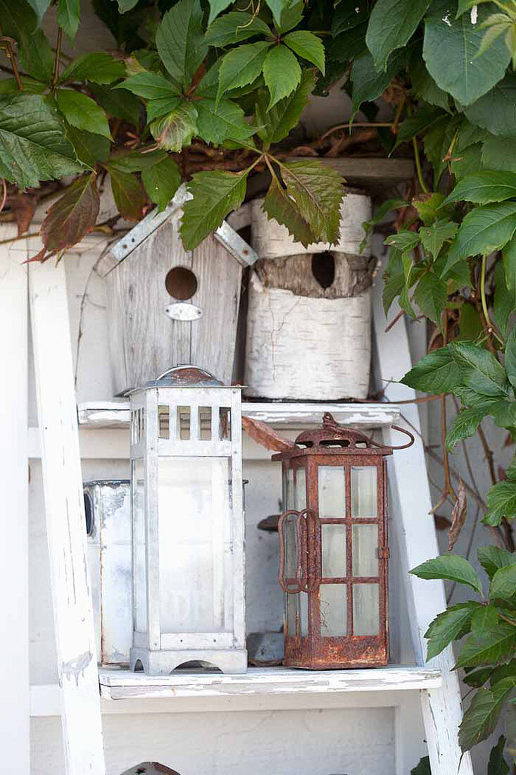 Bird nesting boxes and lanterns decoratively arrangement on shelves