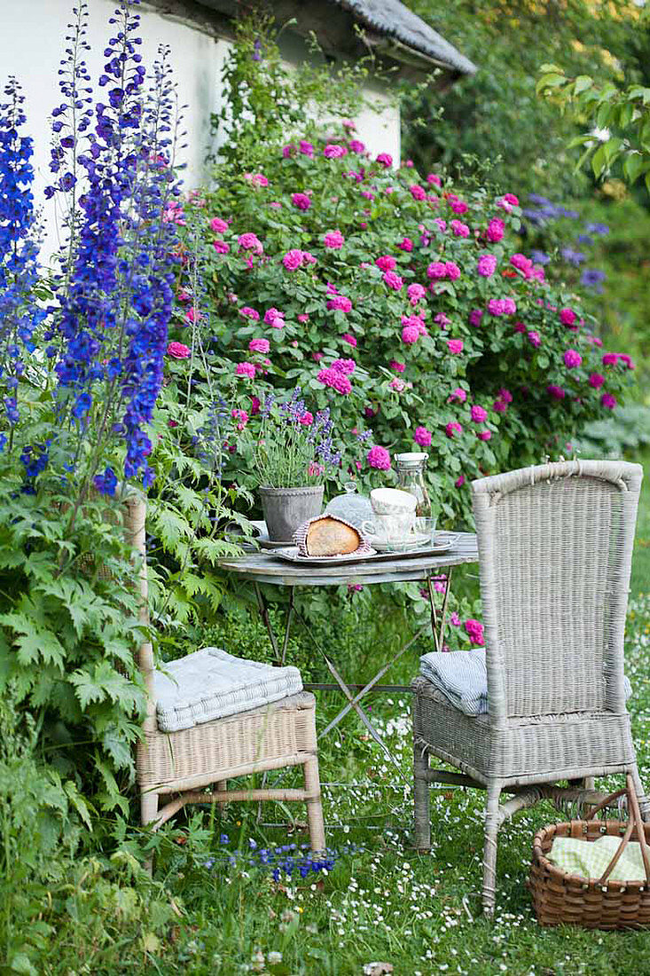 Romantic seating area next to roses and delphiniums in garden