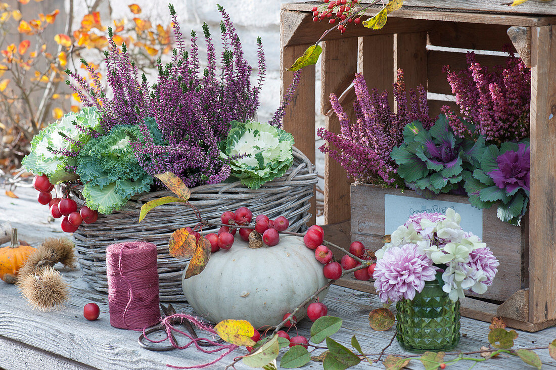 Herbst-Arrangement mit Knospenheide, Zierkohl, Topferika, Speisekürbis, Zierapfel und Sträußchen aus Chrysantheme und Hortensie