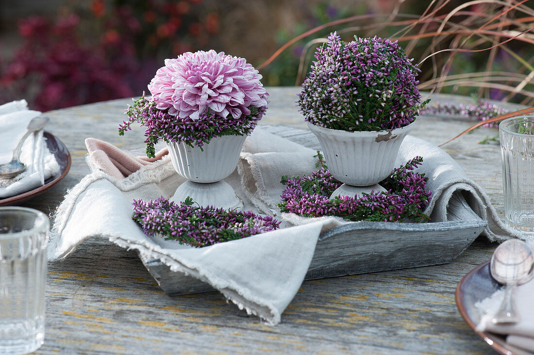 Chrysanthemum blossom and heather ball in a wreath of budding heather as table decoration on a wooden tray