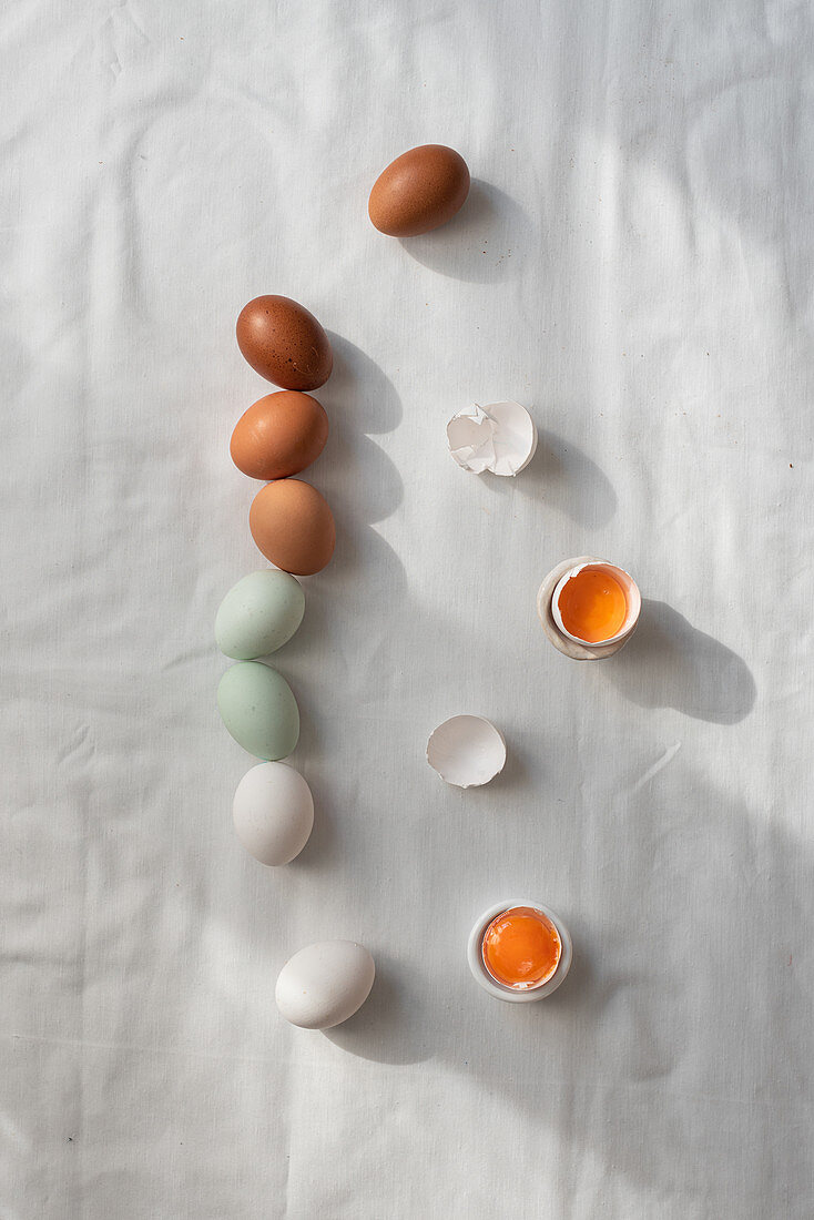 Verschiedenfarbige rohe Eier in einer Reihe