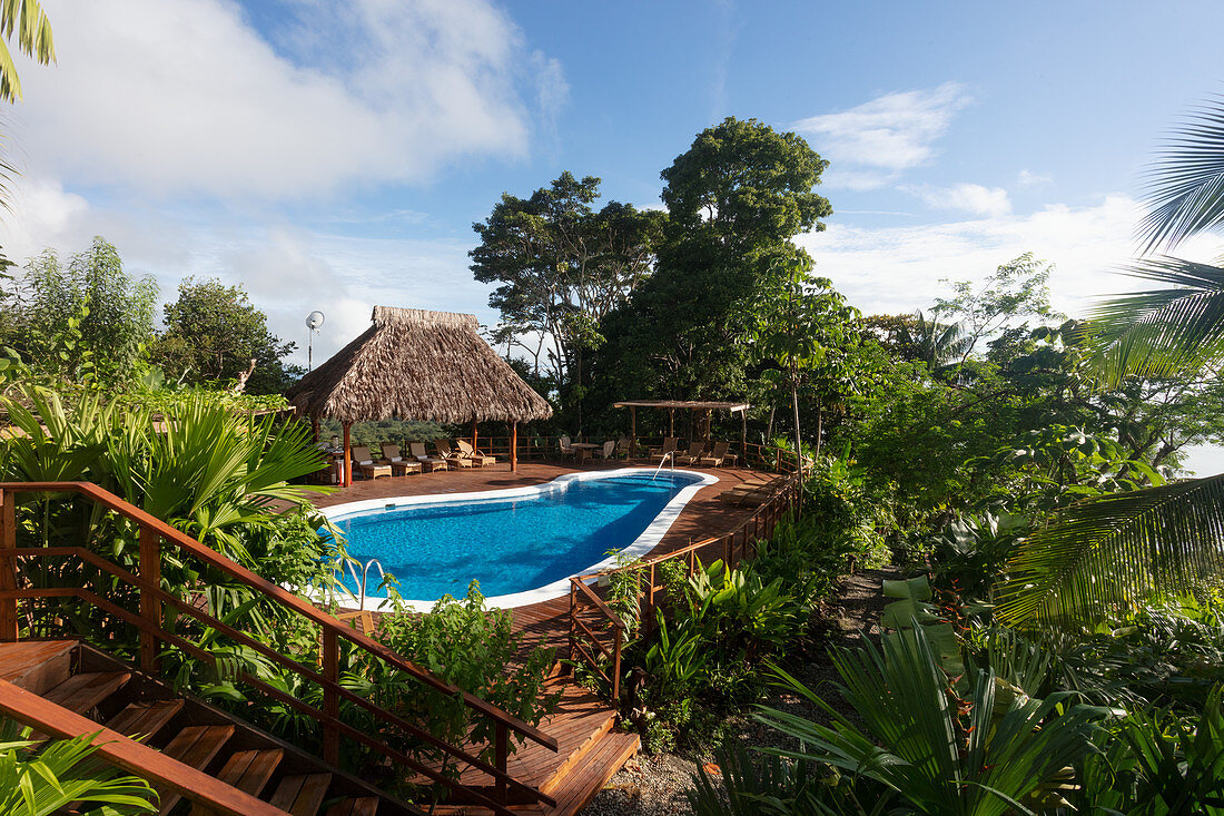The pool at Lapas Rojas Eco Lodge, Osa peninsula, Costa Rica, Central America