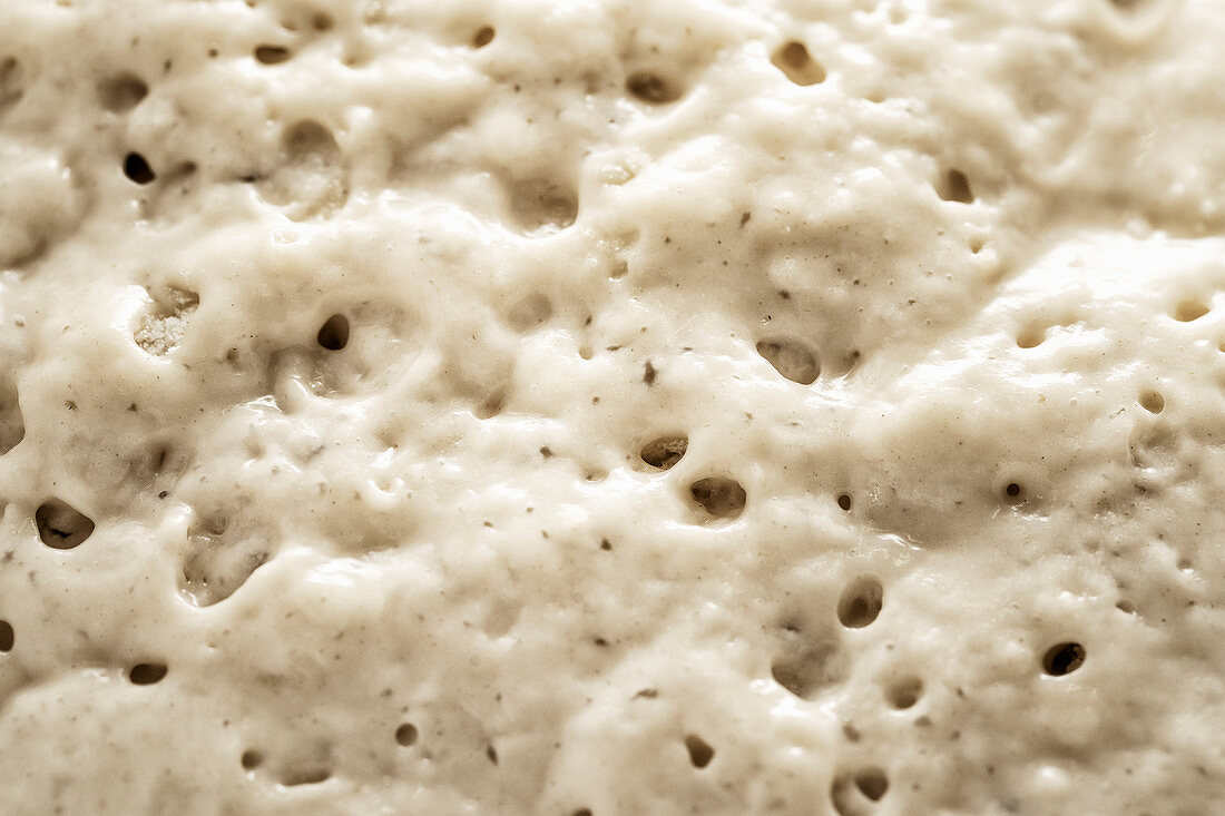 Sour dough (close-up, full frame)