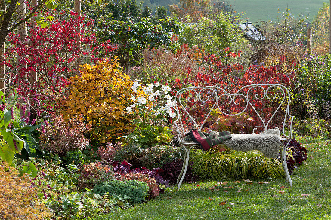 Autumn bed with perennials and woody plants in autumn colours