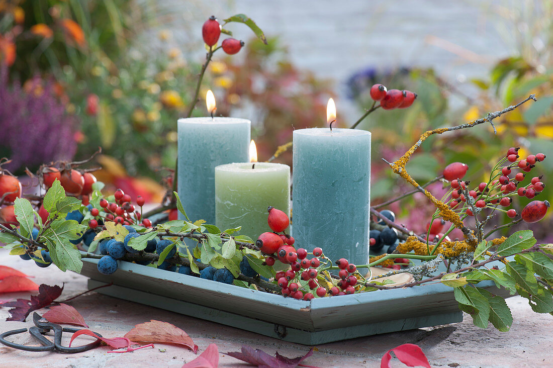 Candles on a light blue wooden bowl branches with sloes and rose hips as decoration