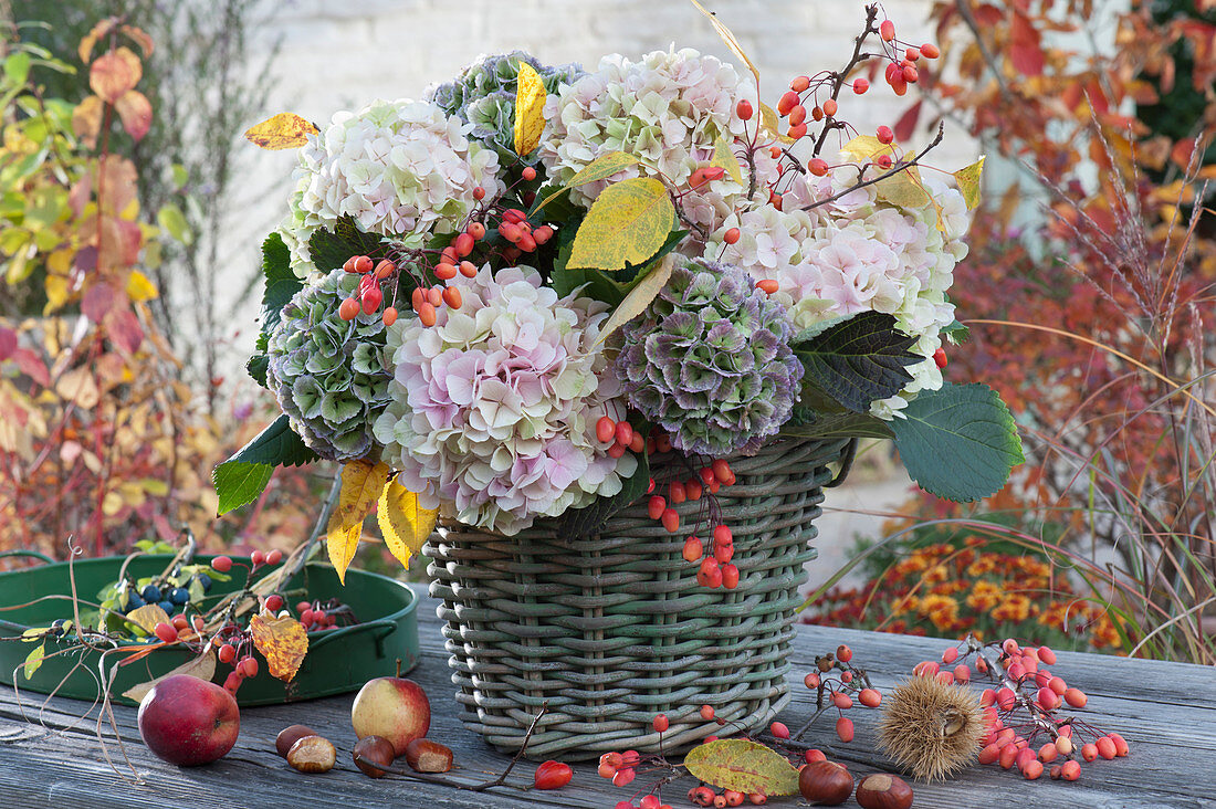 Autumn arrangement of hydrangea blossoms and ornamental apple twigs in a basket