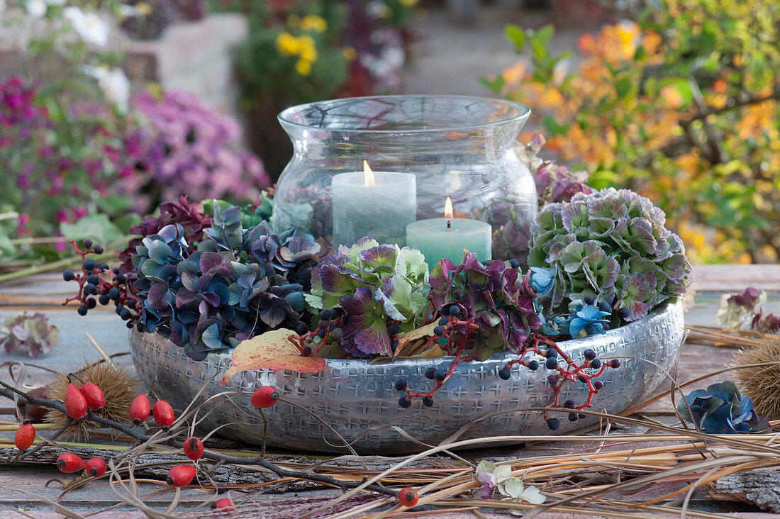 Lantern with a wreath of hydrangea blossoms and wild Ivy berries in a silver bowl, twig with rose hips