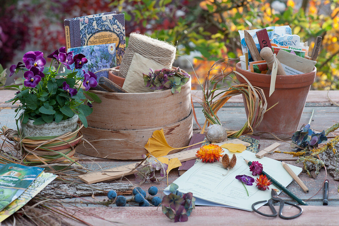 Zutaten für Herbstfloristik: Blüten von Strohblume, Hortensie und Hornveilchen, Ginkgo-Blätter, Schlehen, Zweige, Gräser und Rinde, Tontopf mit Samentüten und Etiketten, Hornveilchen Sorbet 'Phantom'