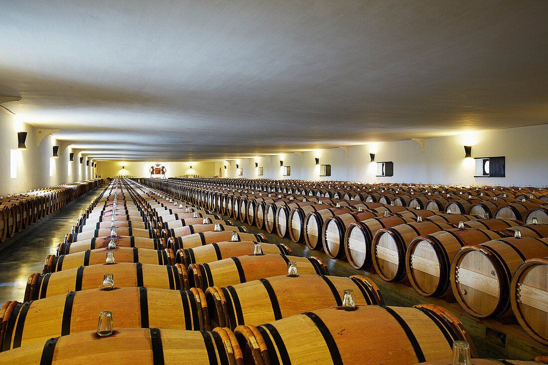 Barrique cellar, Mouton-Rothschild, Bordeaux, France
