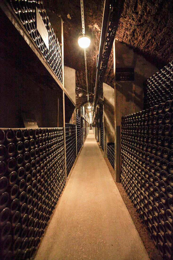 Bottle cellar, Maison Faivelay, Corton, Burgundy, France