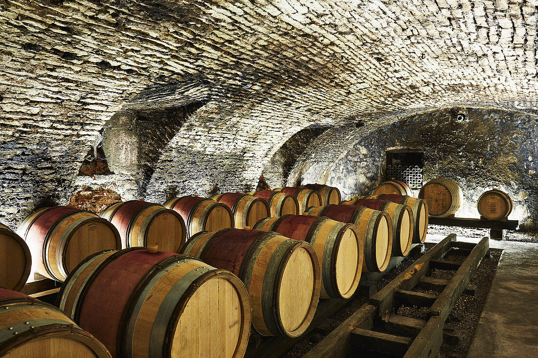 Barrique cellar, Domaine Clos Lambrays, Burgundy, France