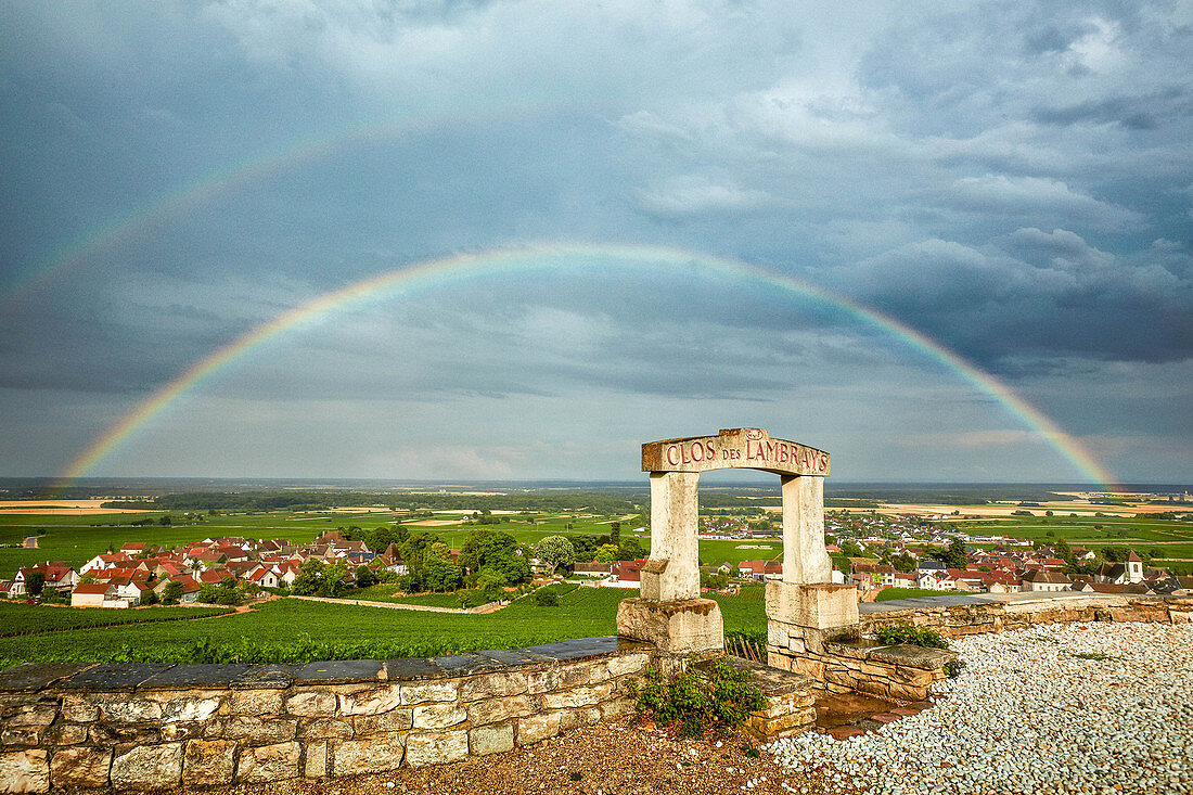 Weinlandschaft mit Regenbogen, Domaine Clos des Lambrays, Burgund, Frankreich