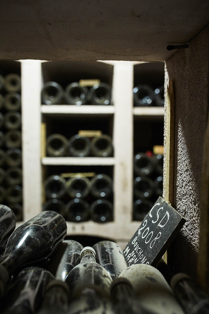 Flaschen im Weinkeller, Domaine Dujac, Burgund, Frankreich