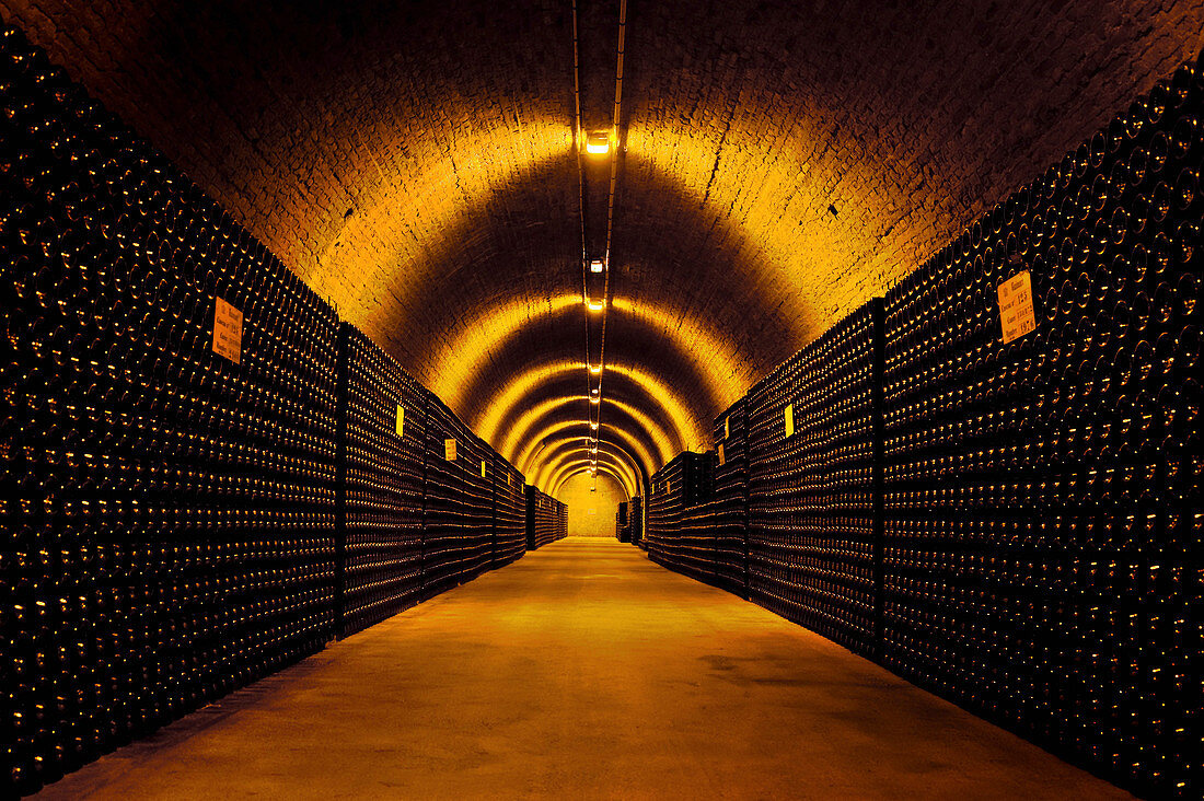 A bottle cellar, Champagne Ruinart, Reims, France