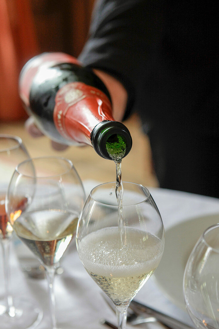 Champagne Taittinger Champagner wird aus Flasche in Glas eingeschenkt
