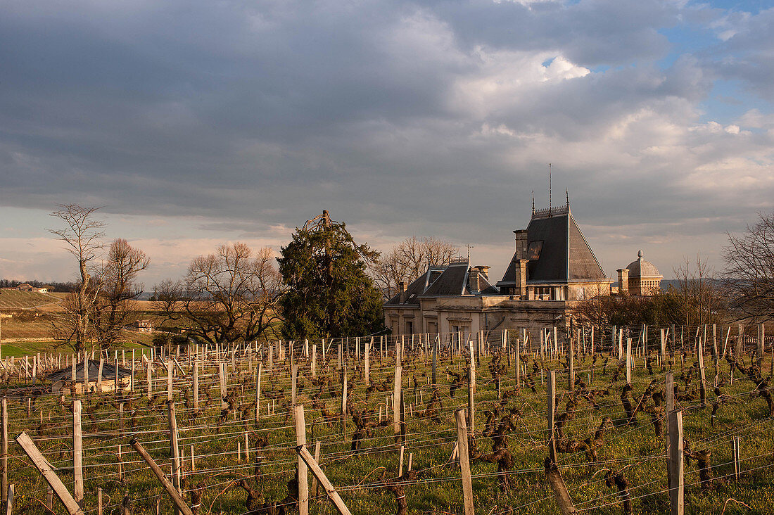 Vineyard landscape, Chateau Ausone, Saint-Emilion, Bordeaux, France