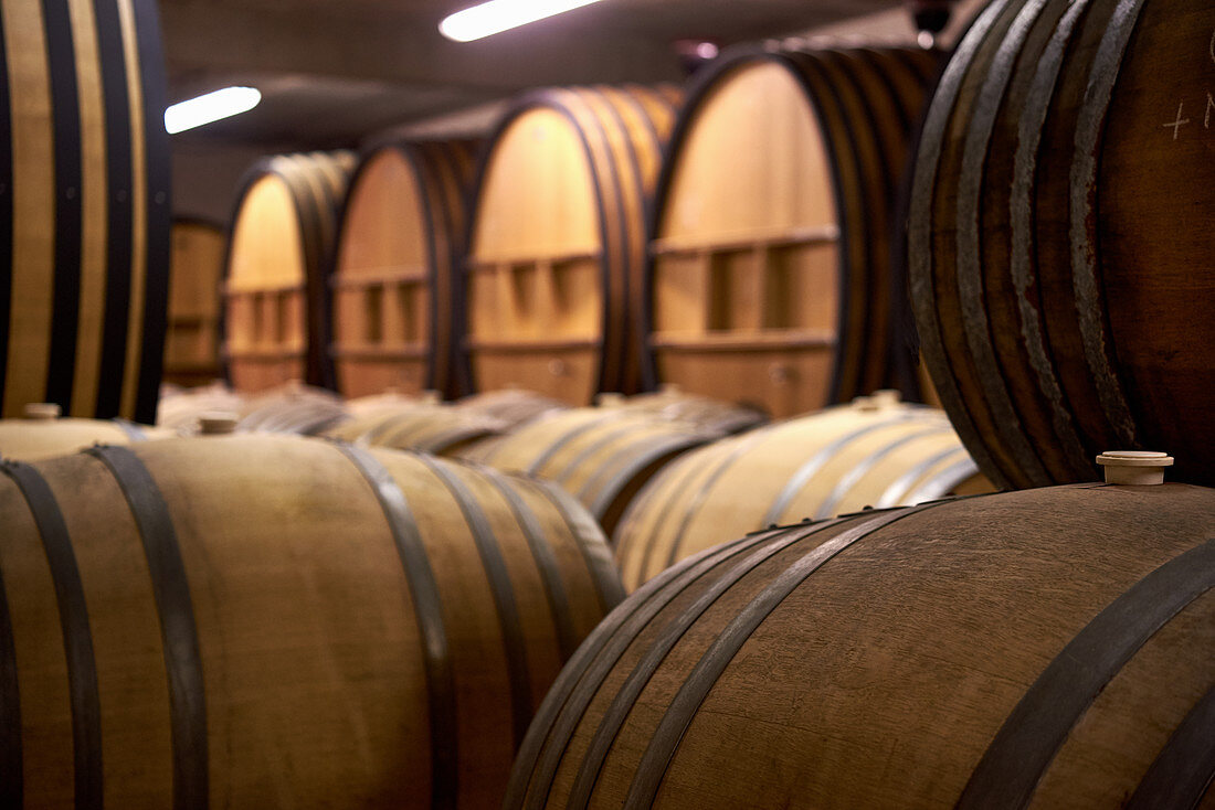 Wooden barrels, Chateau du Cedre, Cahors, France