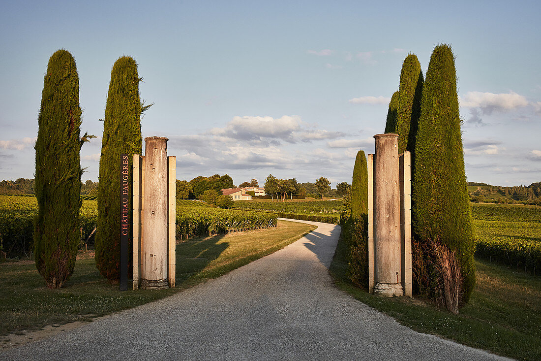 Vineyard landscape, Chateau Faugeres, Saint Emilion, Bordeaux, France