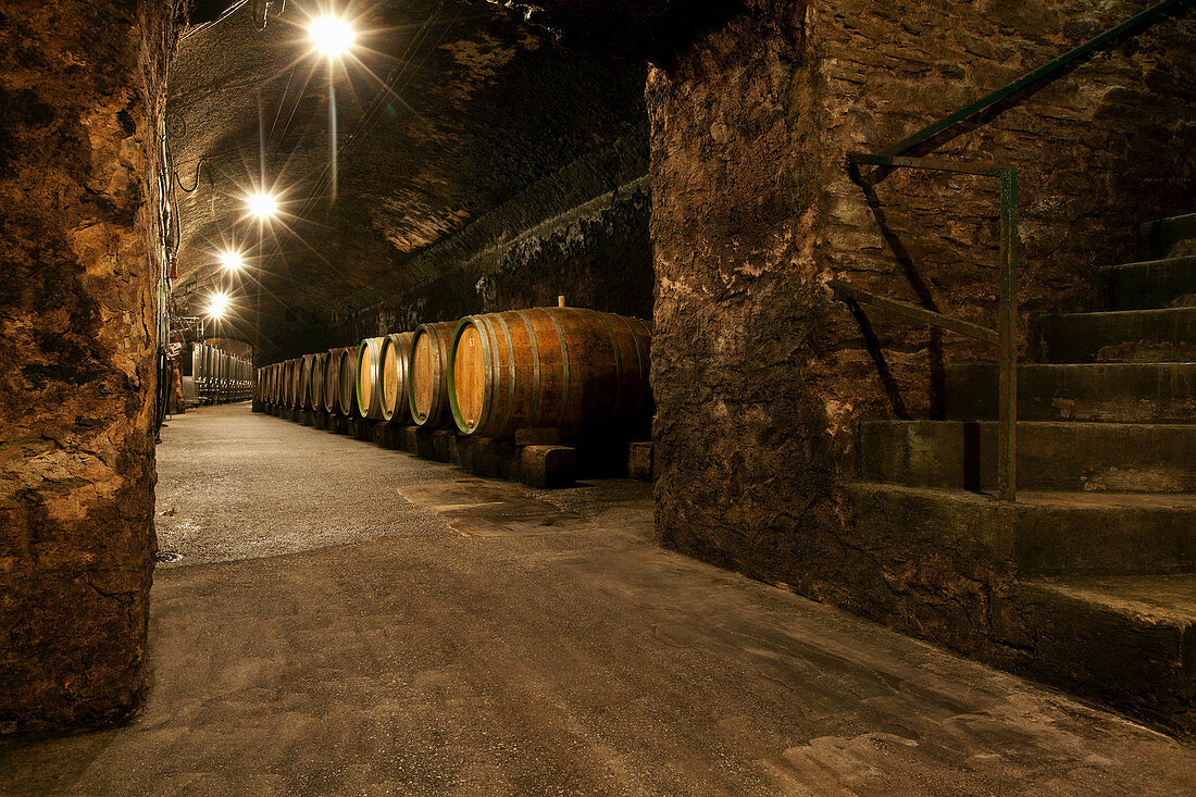 Barrel cellar, Maxim Grünhaus vineyard, Mosel, Germany