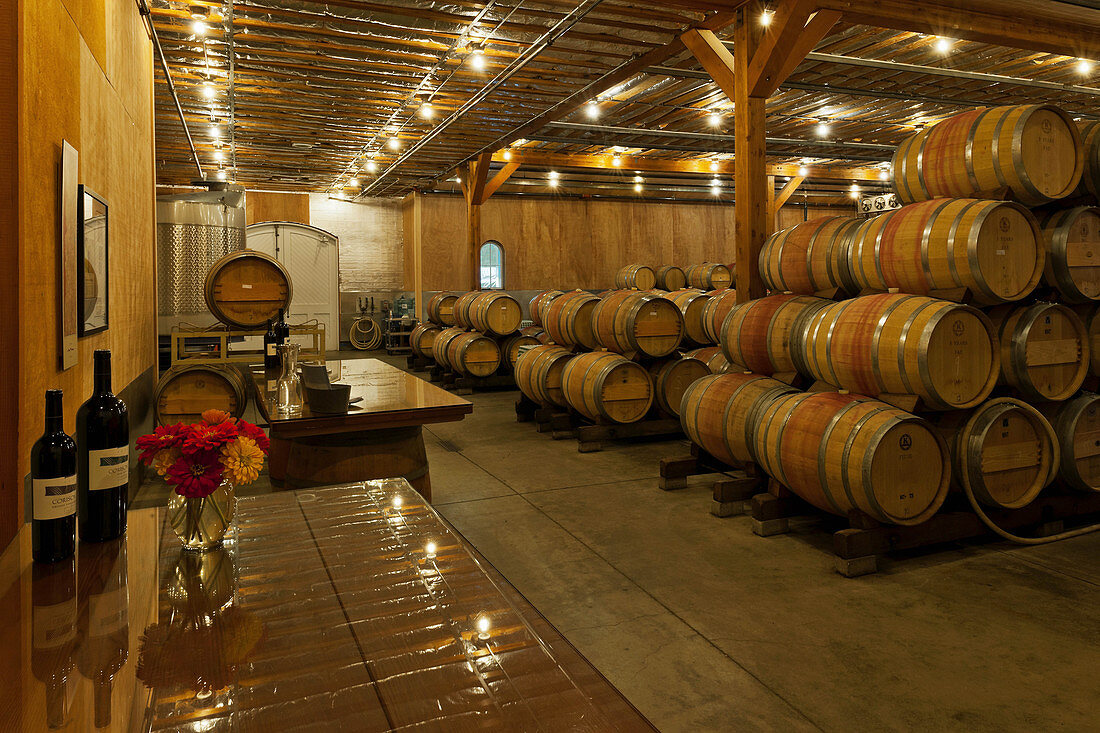 Barrique, Cathy Corison Winery, Napa Valley, Kalifornien, USA