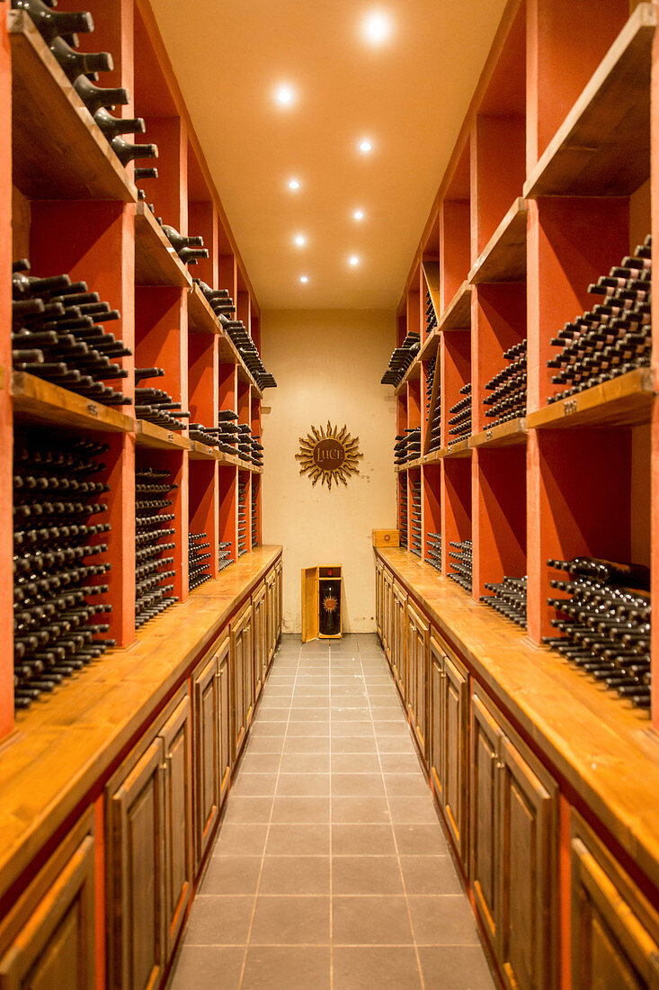 Bottle cellar, Luce della Vite vineyard, Montalcino, Tuscany, Italy
