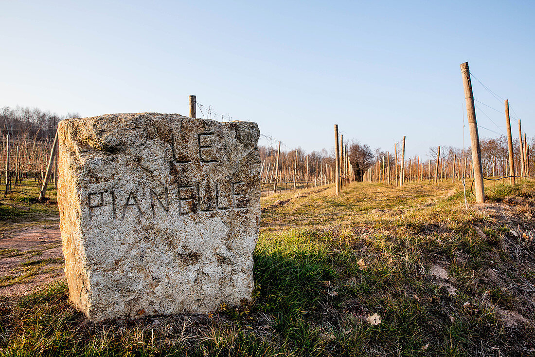 Grenzstein vor Rebfläche, Le Pianelle, Piemont, Italien