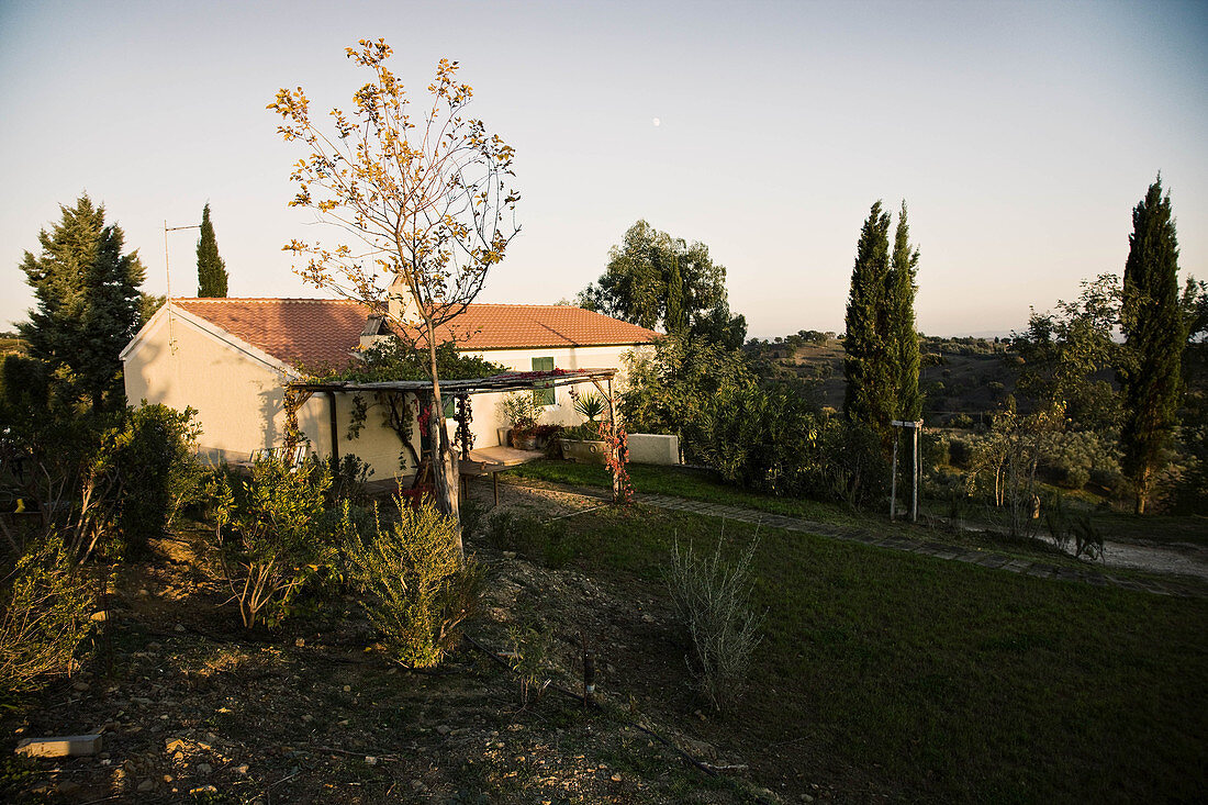 A guest house in a vineyard landscape, Le Pupille vineyard, Maremma, Tuscany, Italy