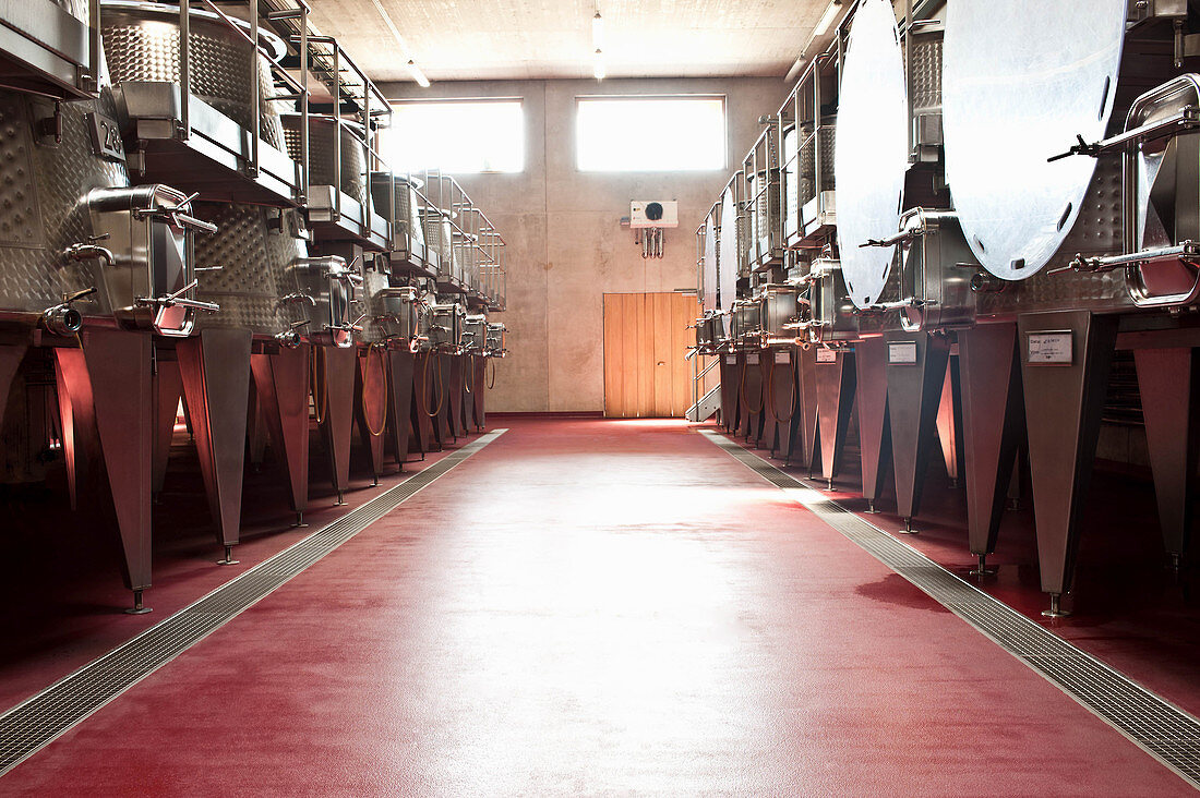 Wein-Stahltanks, Tenuta Monteverro, Maremma, Toskana, Italien