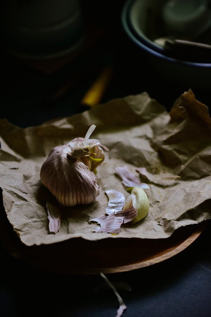 Sprouting garlic on paper