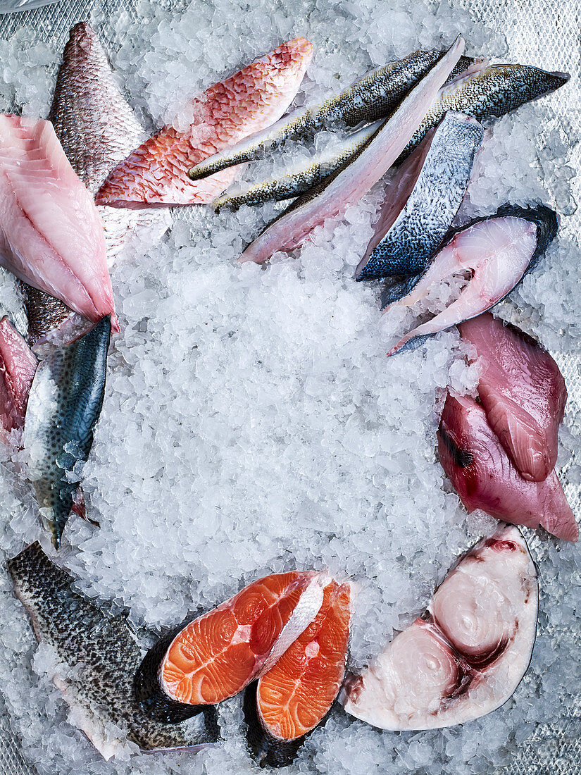 Pieces of different raw fish on crushed ice