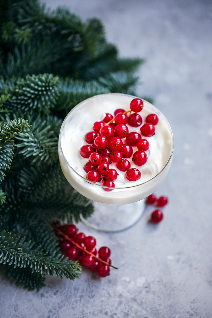 Joghurt with red currants