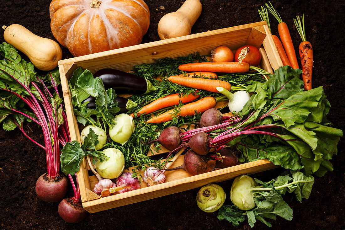 Healthy food Fresh raw vegetables in wooden box on black ground background