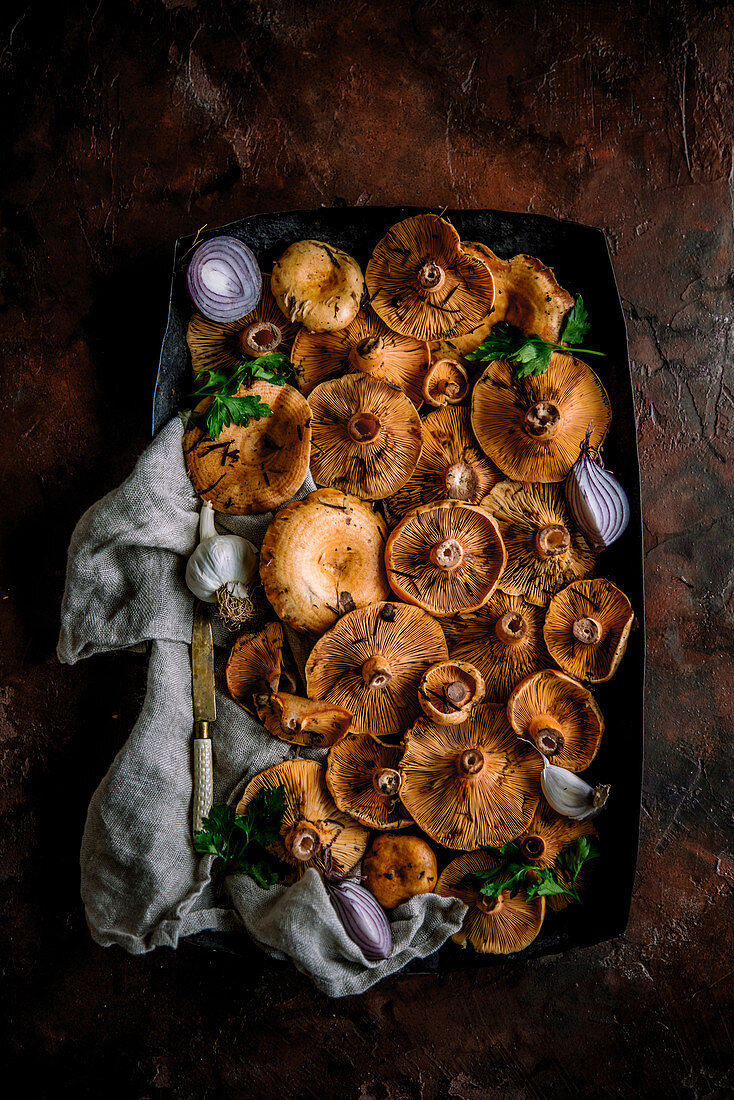 Fresh riga mushrooms