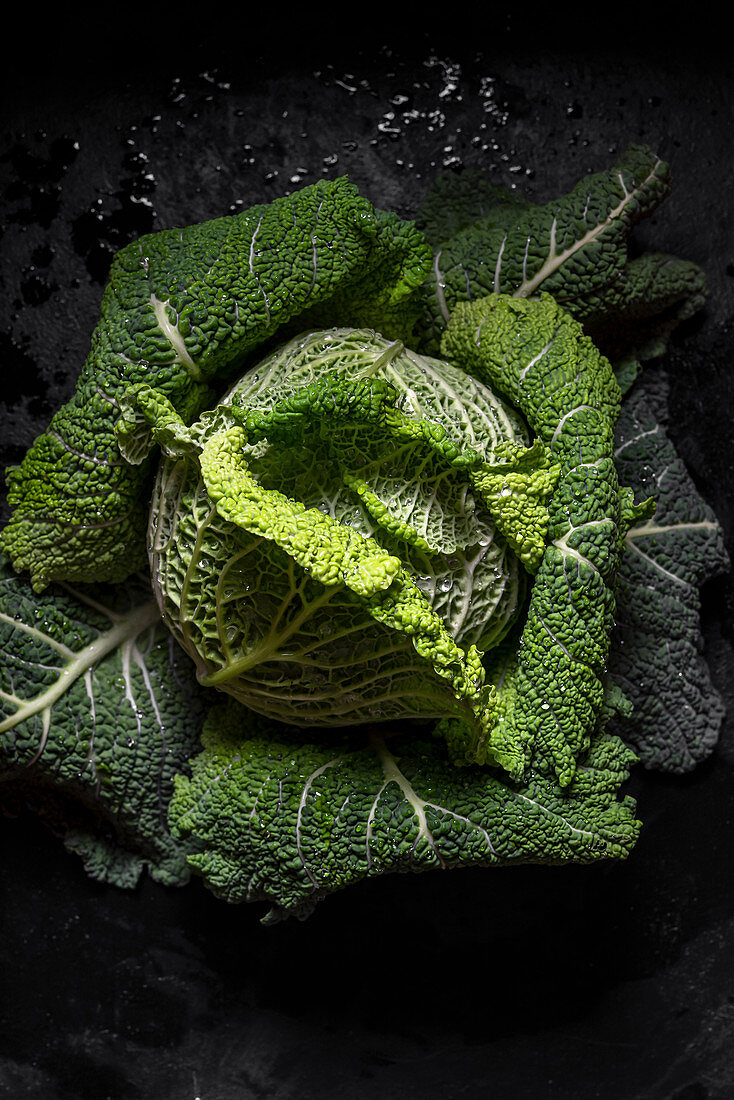 Whole head of green cabbage over black background